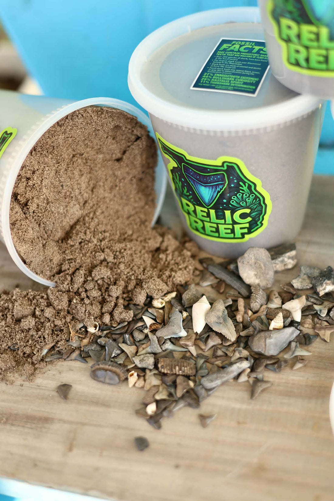 Relic Reef shark tooth mystery bucket filled with Florida fossil dirt