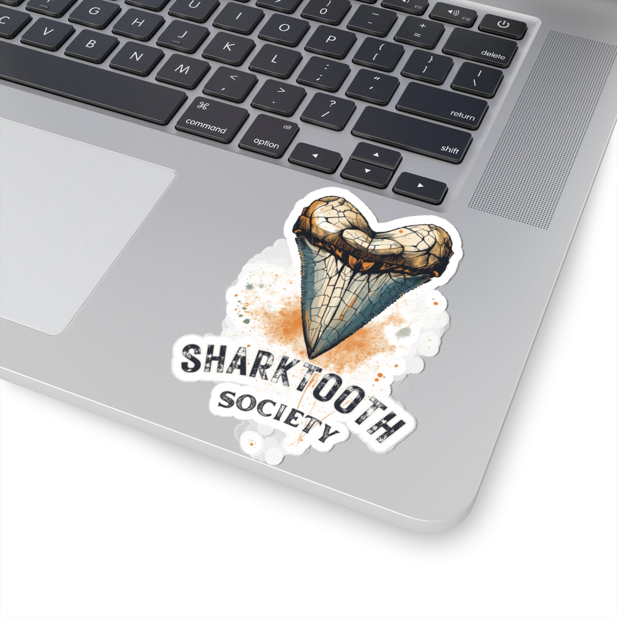 Sharktooth Society Kiss-Cut Sticker — Vintage Heart Shark Tooth Decal