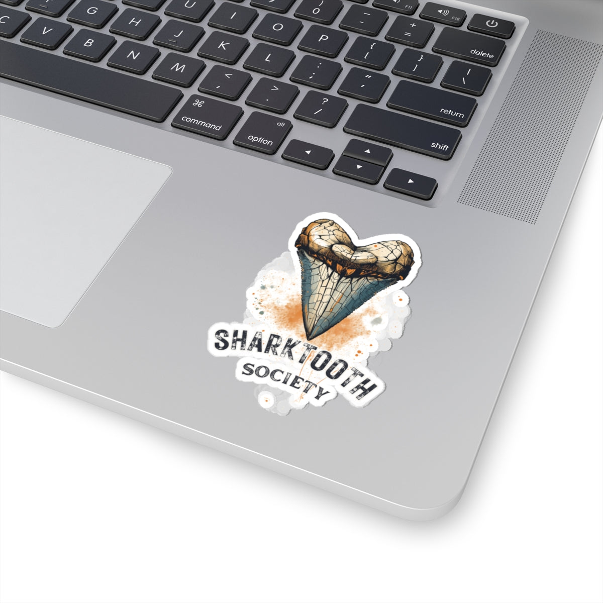 Sharktooth Society Kiss-Cut Sticker — Vintage Heart Shark Tooth Decal