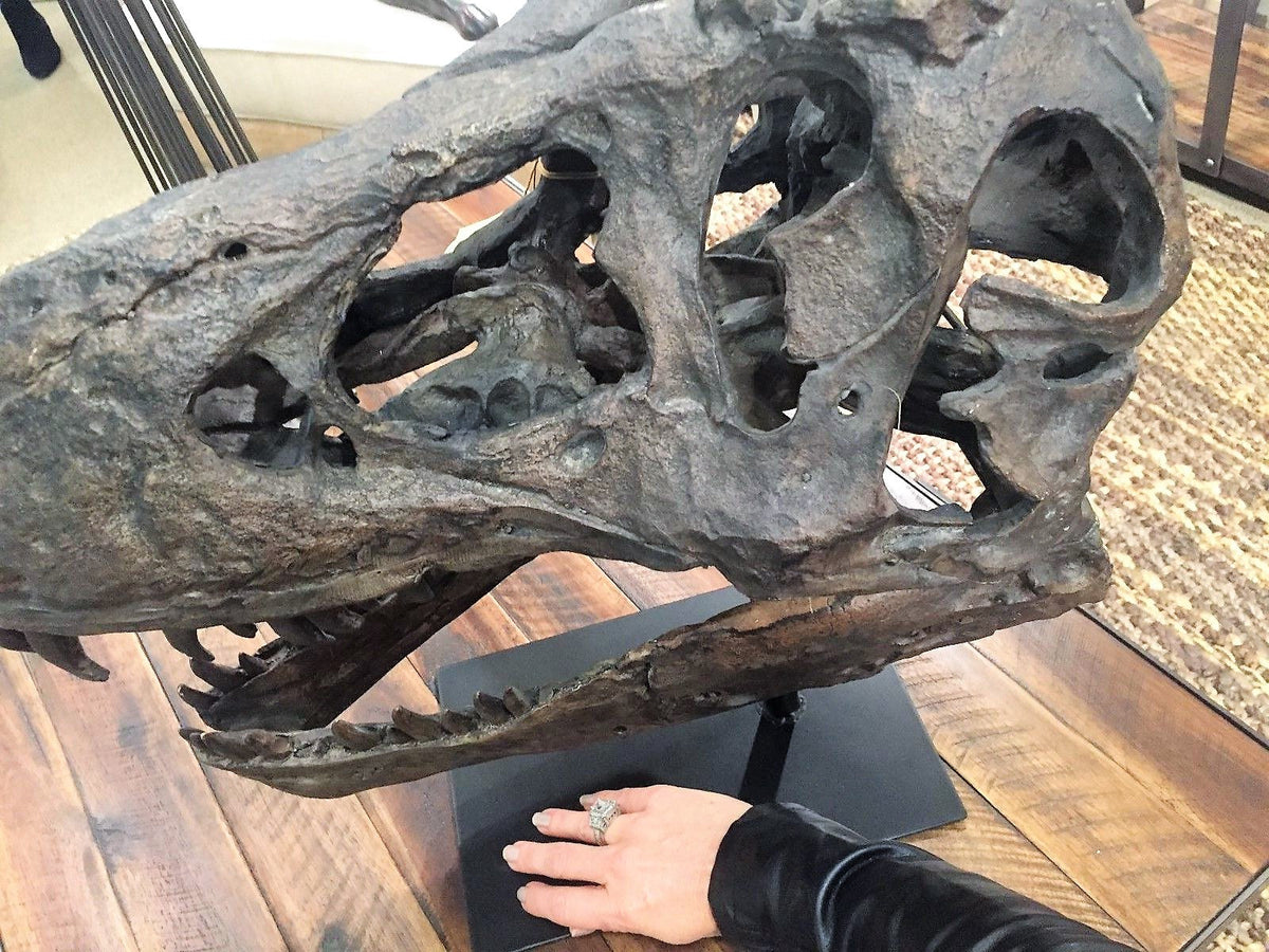 Tyrannosaurus Rex Skull Replica Large Head Resin Model T-Rex Sculpture, photo 3