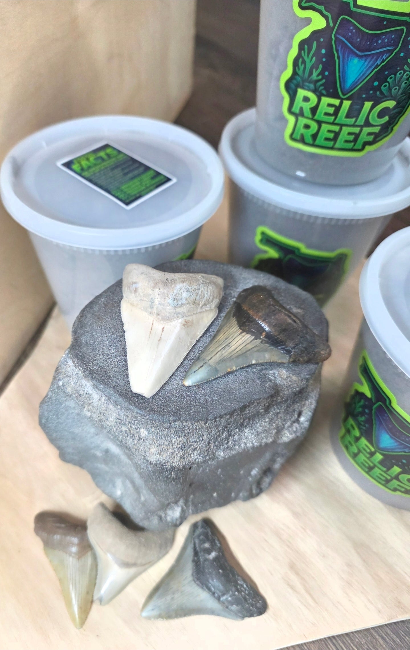 Premium Megalodon Mystery Bucket  (32 oz)