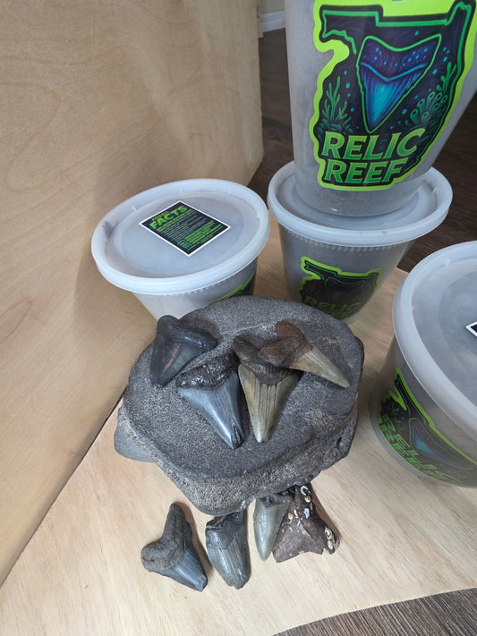 MEGALODON MYSTERY BUCKETS! (32oz)