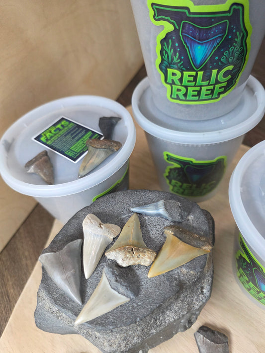 HASTALIS MYSTERY BUCKETS! (32oz)