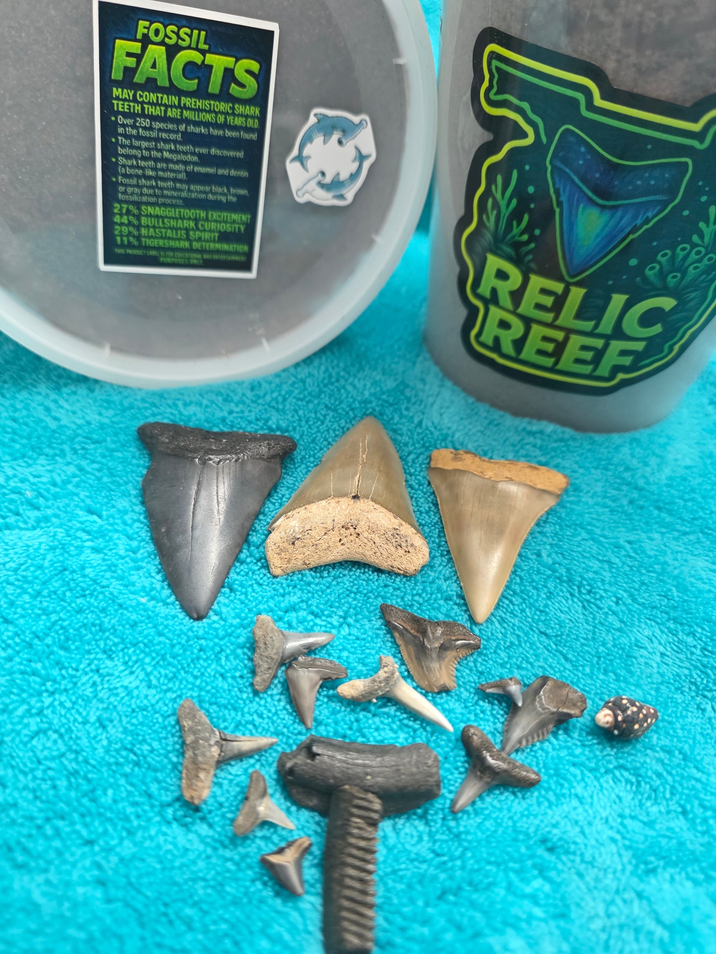 HASTALIS MYSTERY BUCKETS! (32oz)