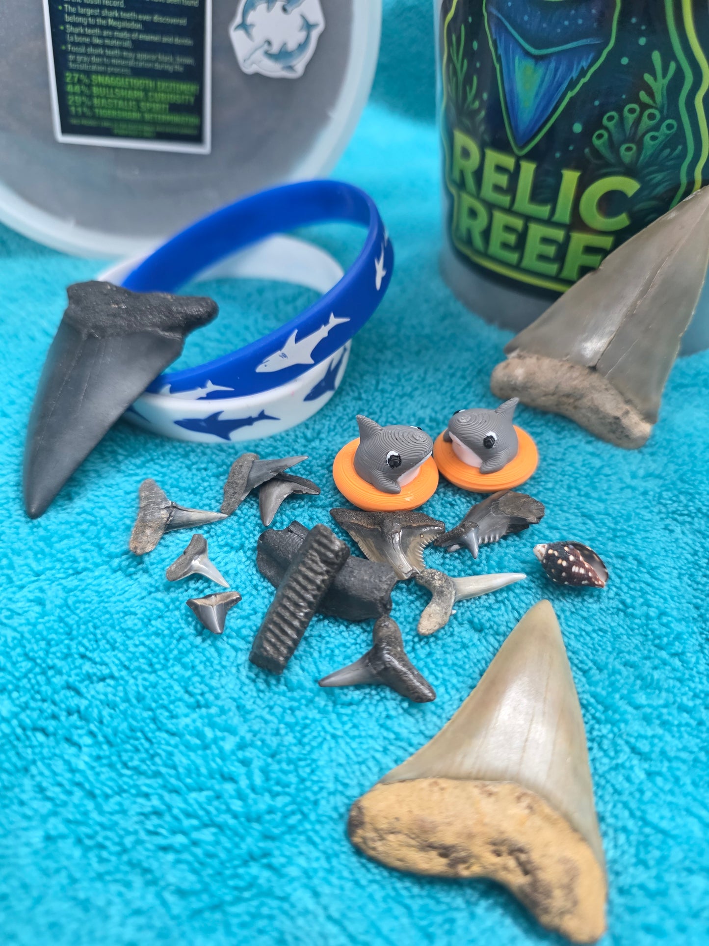 HASTALIS MYSTERY BUCKETS! (32oz)