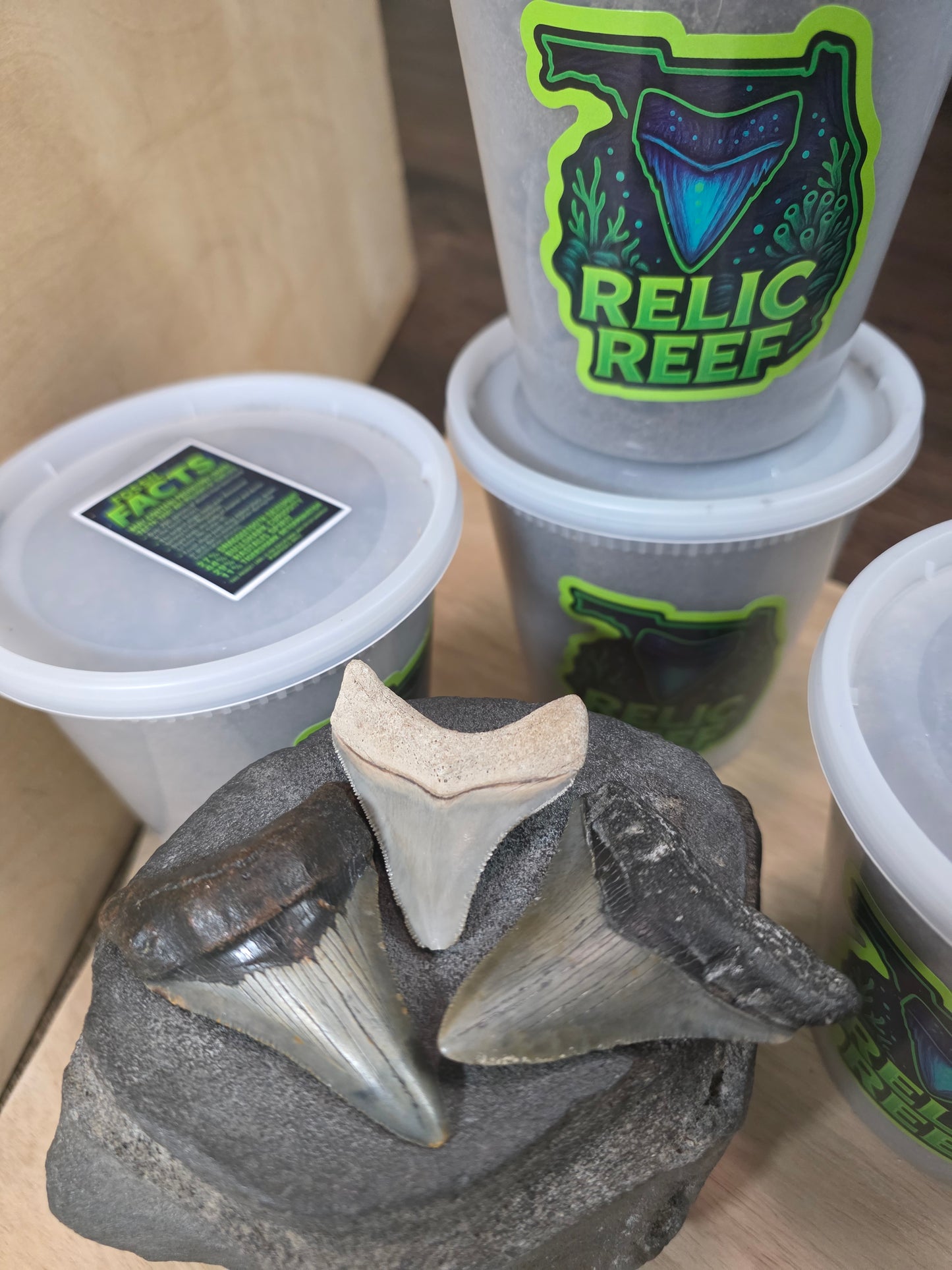 Premium Megalodon Mystery Bucket  (32 oz)