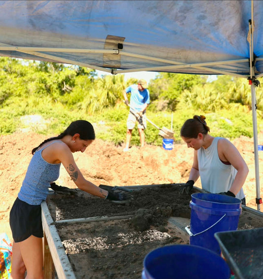 Half Day Dry Sift Fossil Experience