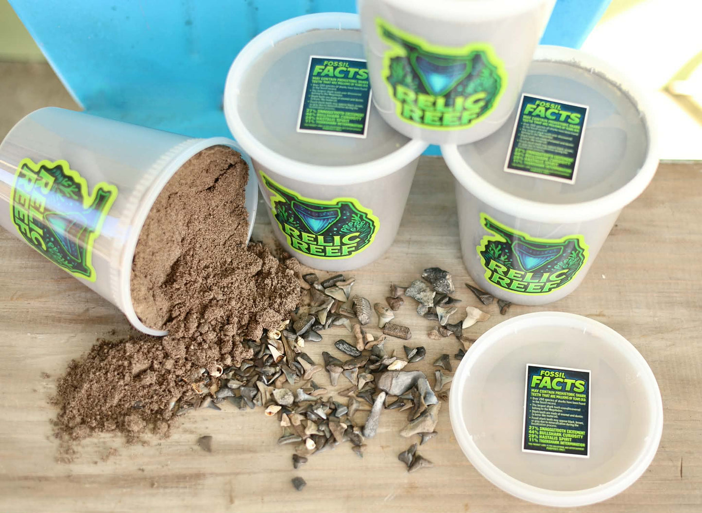 Mystery Shark Tooth Bucket (32 oz)