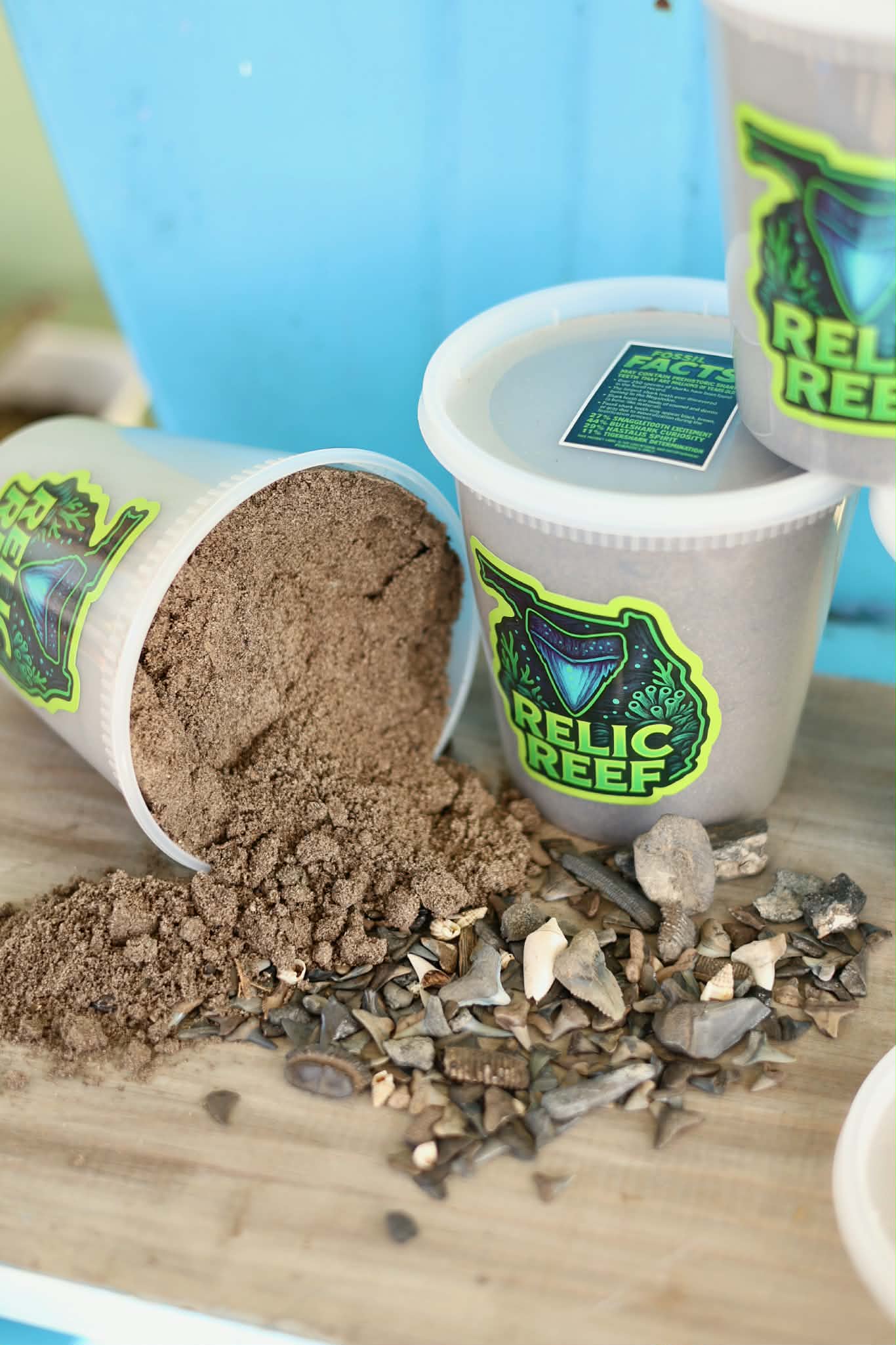 Mystery Shark Tooth Bucket (32 oz)