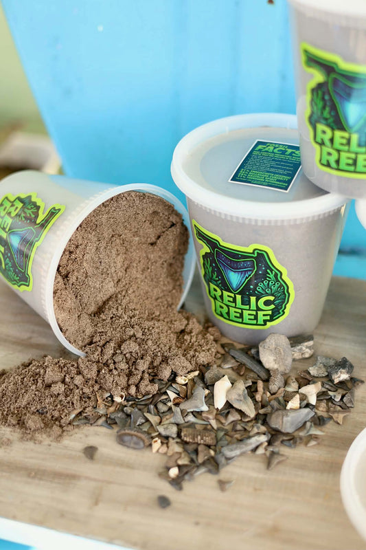 Mystery Shark Tooth Bucket (32 oz)